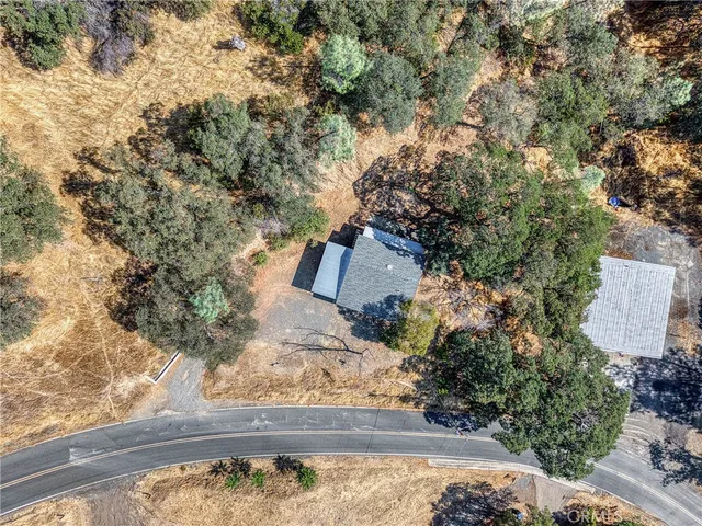 a view of backyard and tree