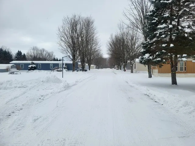 $39,900 | 9226 Elsie Avenue, Bear Lake, MI 49614