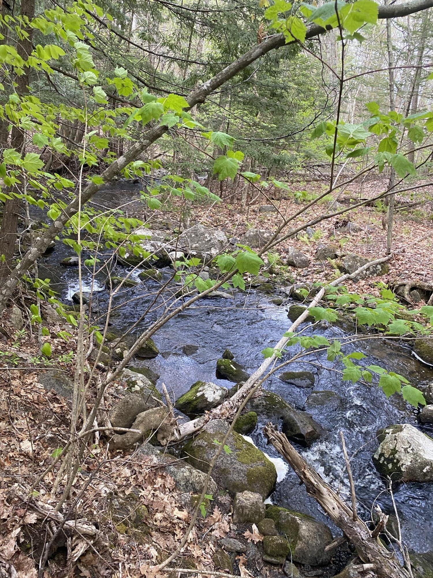 55 Lower Oak Point Road Winterport, ME 04496 - Photo 10 of 31