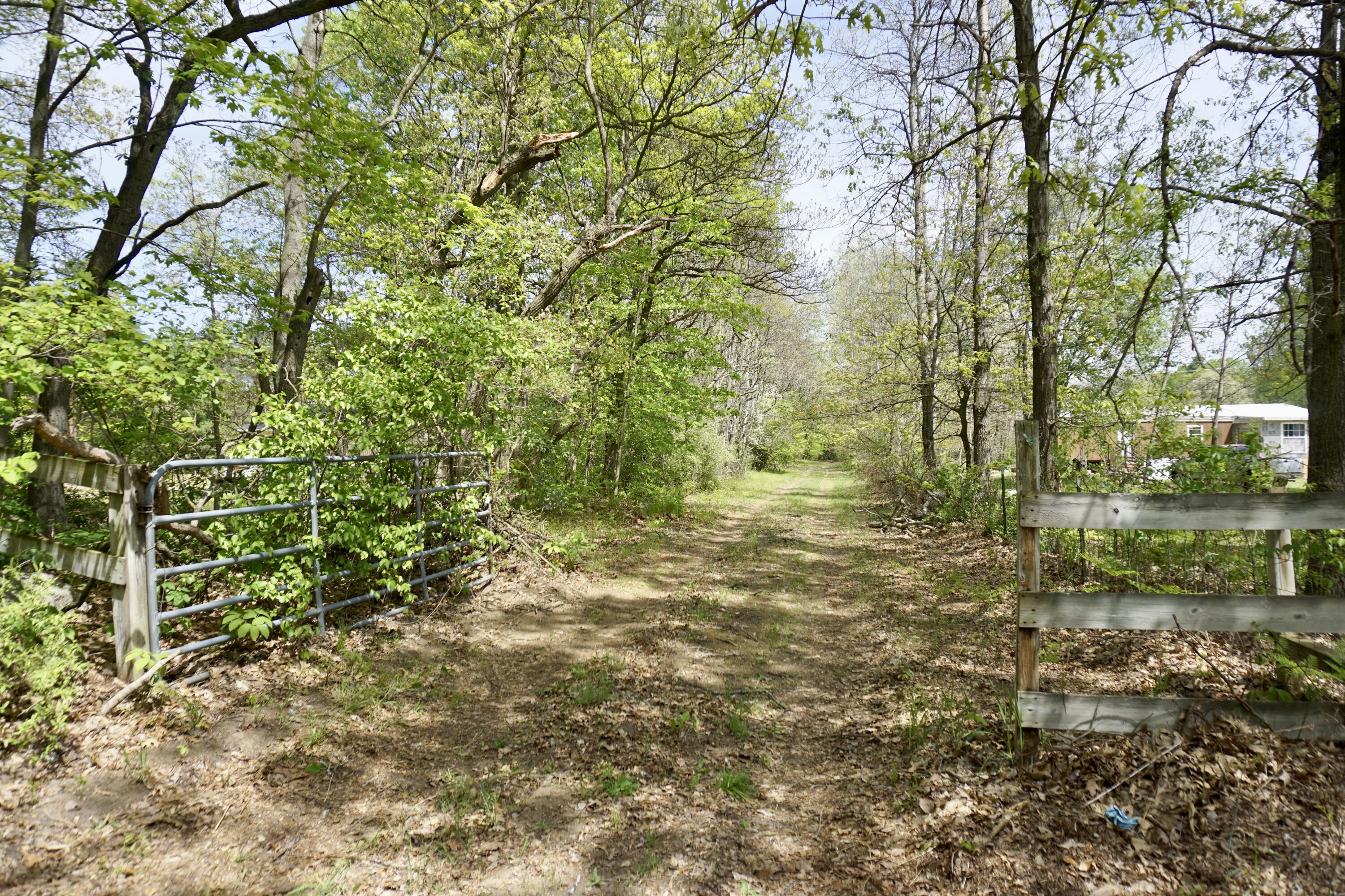 West County Line Road Gowen, MI 49326 - Photo 15 of 26 DSC01079