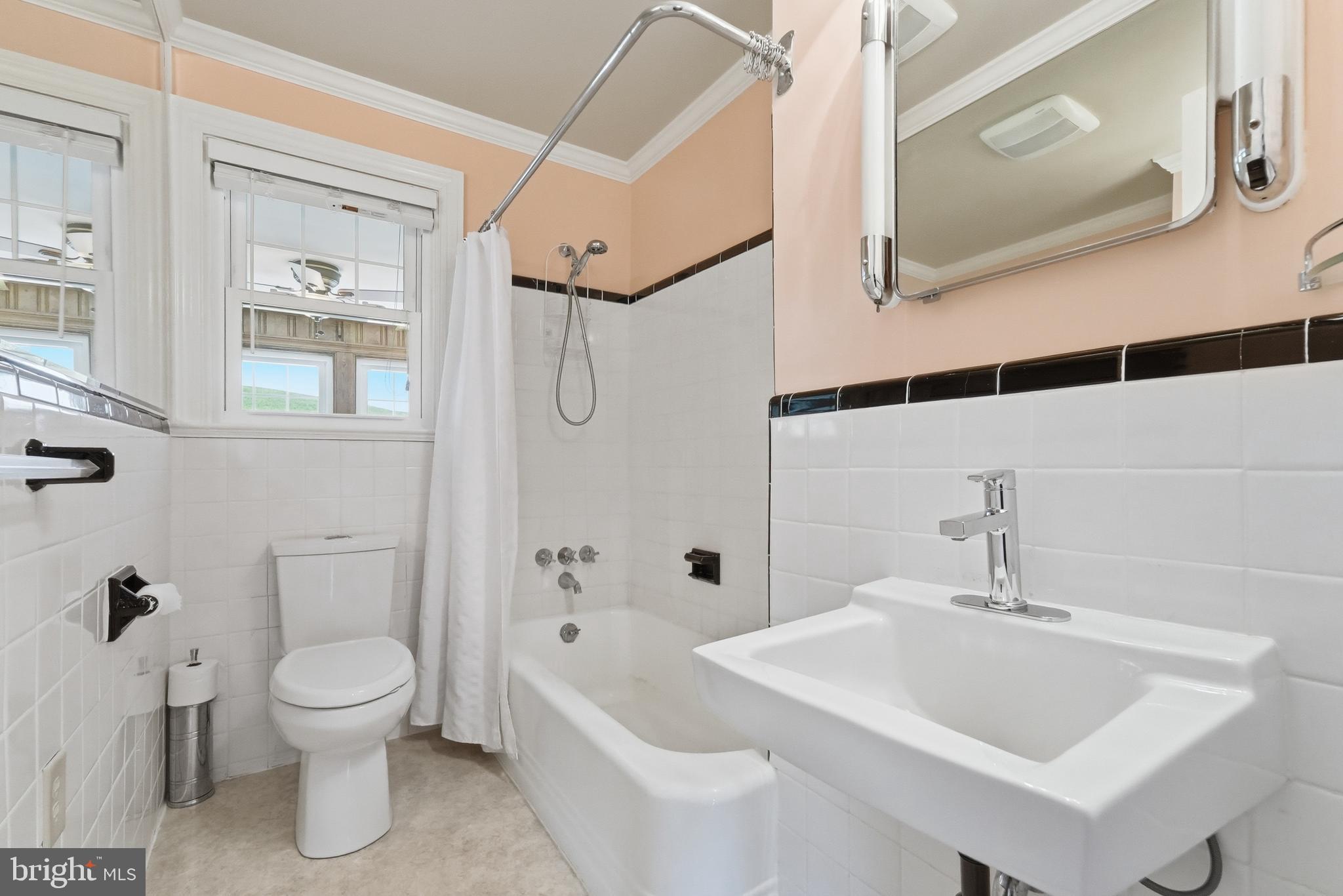 6117 South F T Valley Road Etlan, VA 22719 - Photo 21 of 36 Main floor bathroom with retro tile work
