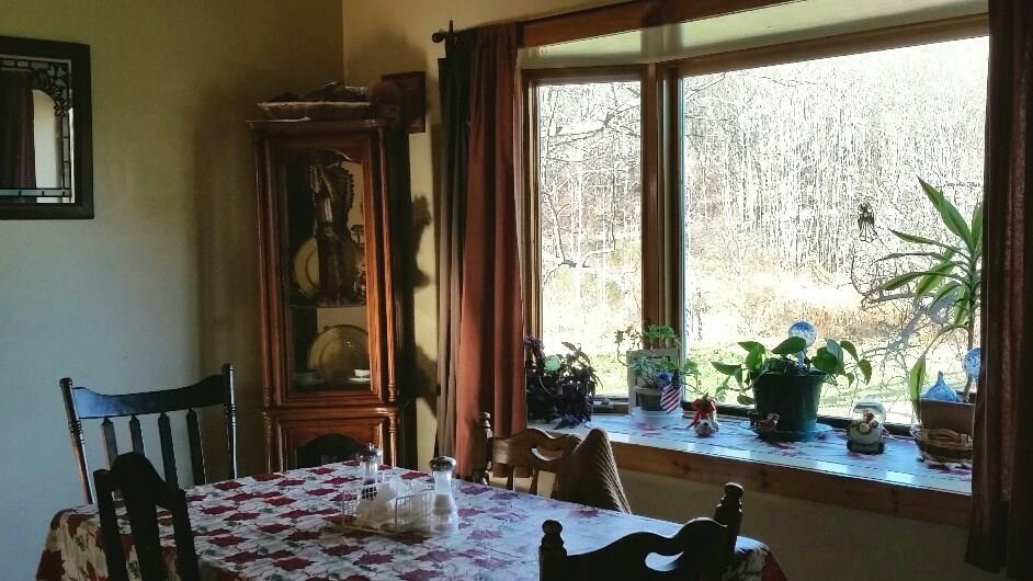 165 Adams Road Bowdoin, ME 04287 - Photo 6 of 17 Beautiful country view from dining...