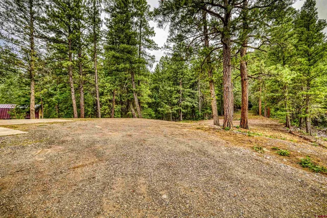 $1,250,000 | 316 Loma Vista Court, Pagosa Springs, CO 81147