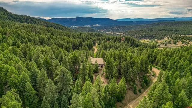 $1,250,000 | 316 Loma Vista Court, Pagosa Springs, CO 81147