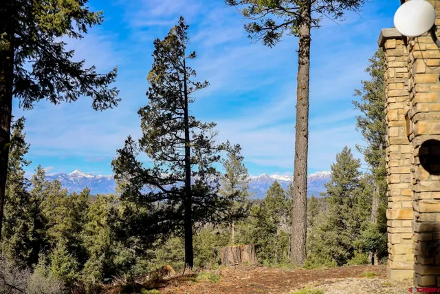 $1,250,000 | 316 Loma Vista Court, Pagosa Springs, CO 81147