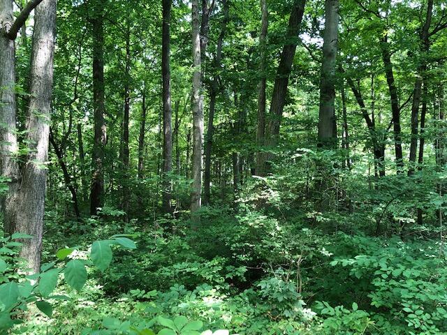 0 Troy Road Springfield, OH 45504 - Photo 1 of 2
