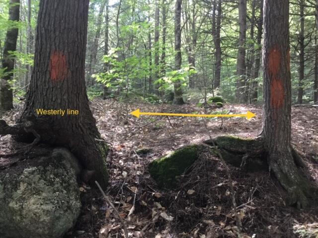 0 Off Mountain Stoneham, ME 04231 - Photo 14 of 32 westerly line