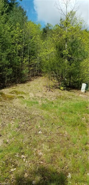 Lot 102-phase Staghorn Road, Unit LOT 6 Purlear, NC 28665 - Photo 2 of 20 Community Pond