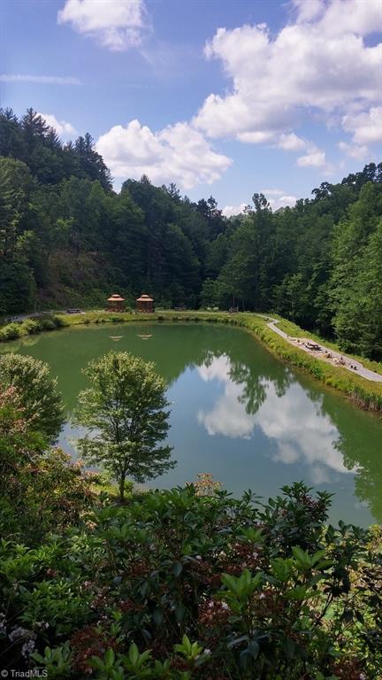 Lot 102-phase Staghorn Road, Unit LOT 6 Purlear, NC 28665 - Photo 12 of 20
