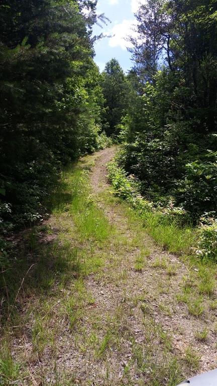Lot 102-phase Staghorn Road, Unit LOT 6 Purlear, NC 28665 - Photo 14 of 20