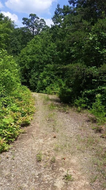 Lot 102-phase Staghorn Road, Unit LOT 6 Purlear, NC 28665 - Photo 15 of 20