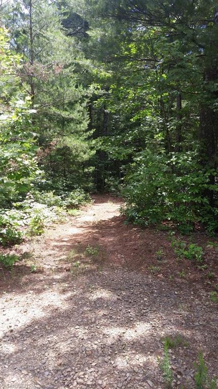 Lot 102-phase Staghorn Road, Unit LOT 6 Purlear, NC 28665 - Photo 16 of 20