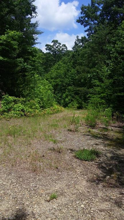 Lot 102-phase Staghorn Road, Unit LOT 6 Purlear, NC 28665 - Photo 17 of 20