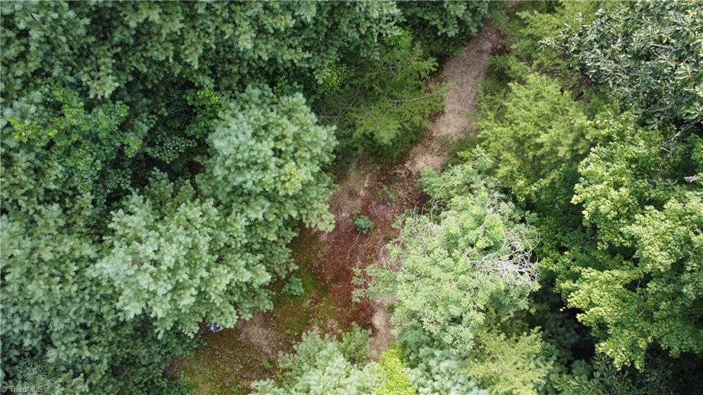 Lot 102-phase Staghorn Road, Unit LOT 6 Purlear, NC 28665 - Photo 19 of 20