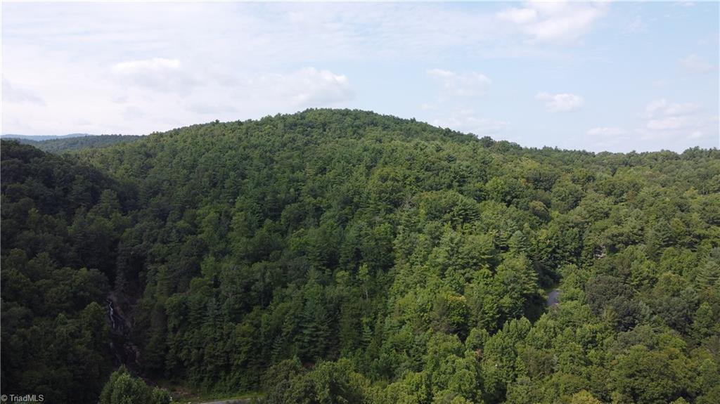 Lot 102-phase Staghorn Road, Unit LOT 6 Purlear, NC 28665 - Photo 20 of 20