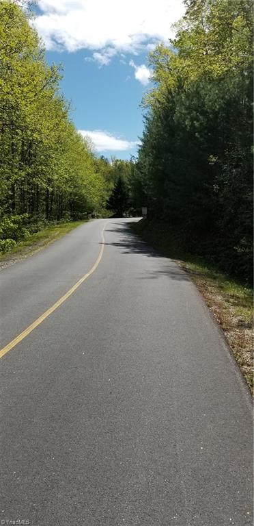 Lot 102-phase Staghorn Road, Unit LOT 6 Purlear, NC 28665 - Photo 3 of 20