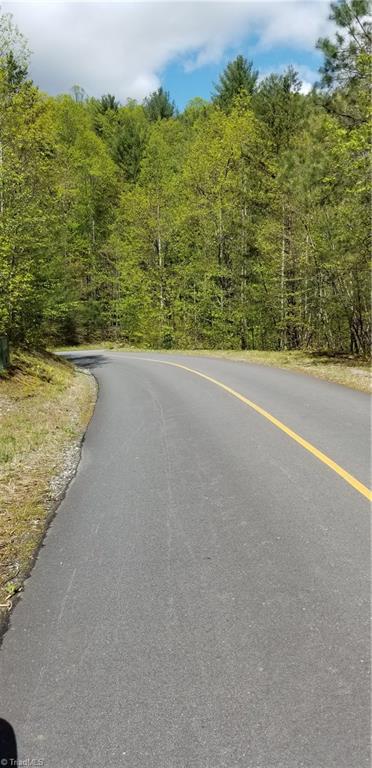 Lot 102-phase Staghorn Road, Unit LOT 6 Purlear, NC 28665 - Photo 4 of 20