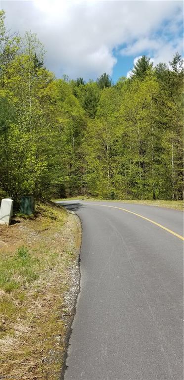 Lot 102-phase Staghorn Road, Unit LOT 6 Purlear, NC 28665 - Photo 5 of 20