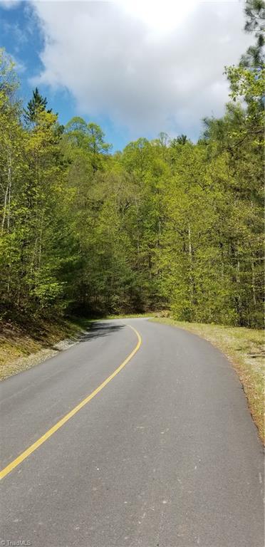 Lot 102-phase Staghorn Road, Unit LOT 6 Purlear, NC 28665 - Photo 6 of 20