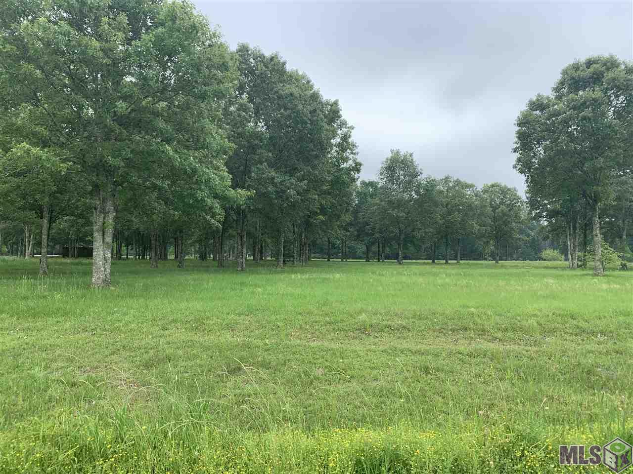 22222 Rabbit Run Drive Baton Rouge, LA 70817 - Photo 3 of 9