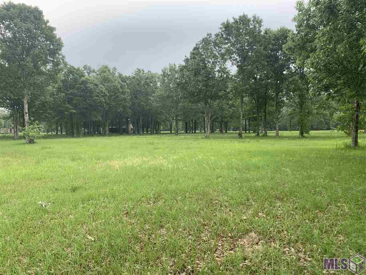 22222 Rabbit Run Drive Baton Rouge, LA 70817 - Photo 4 of 9