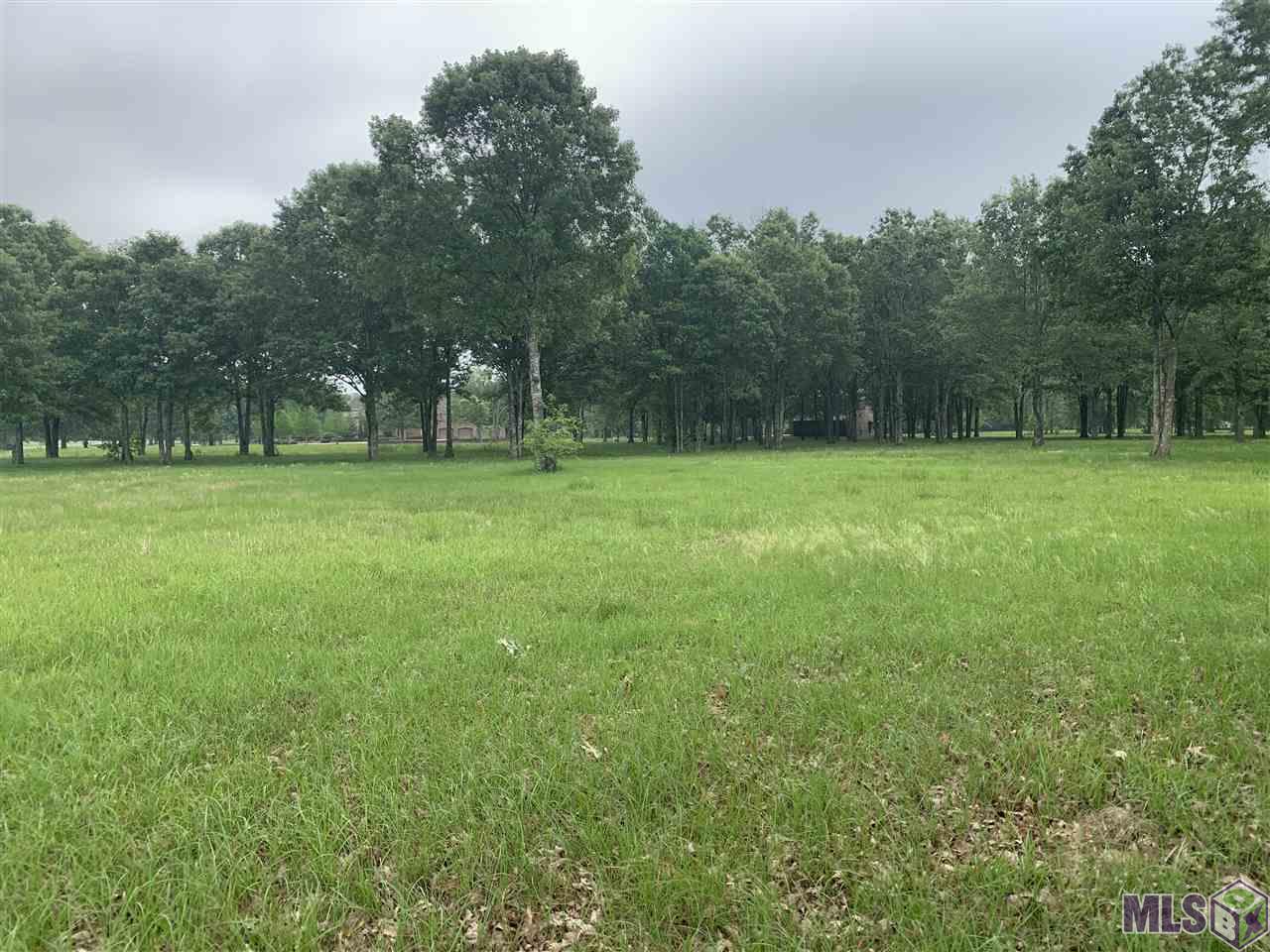 22222 Rabbit Run Drive Baton Rouge, LA 70817 - Photo 5 of 9