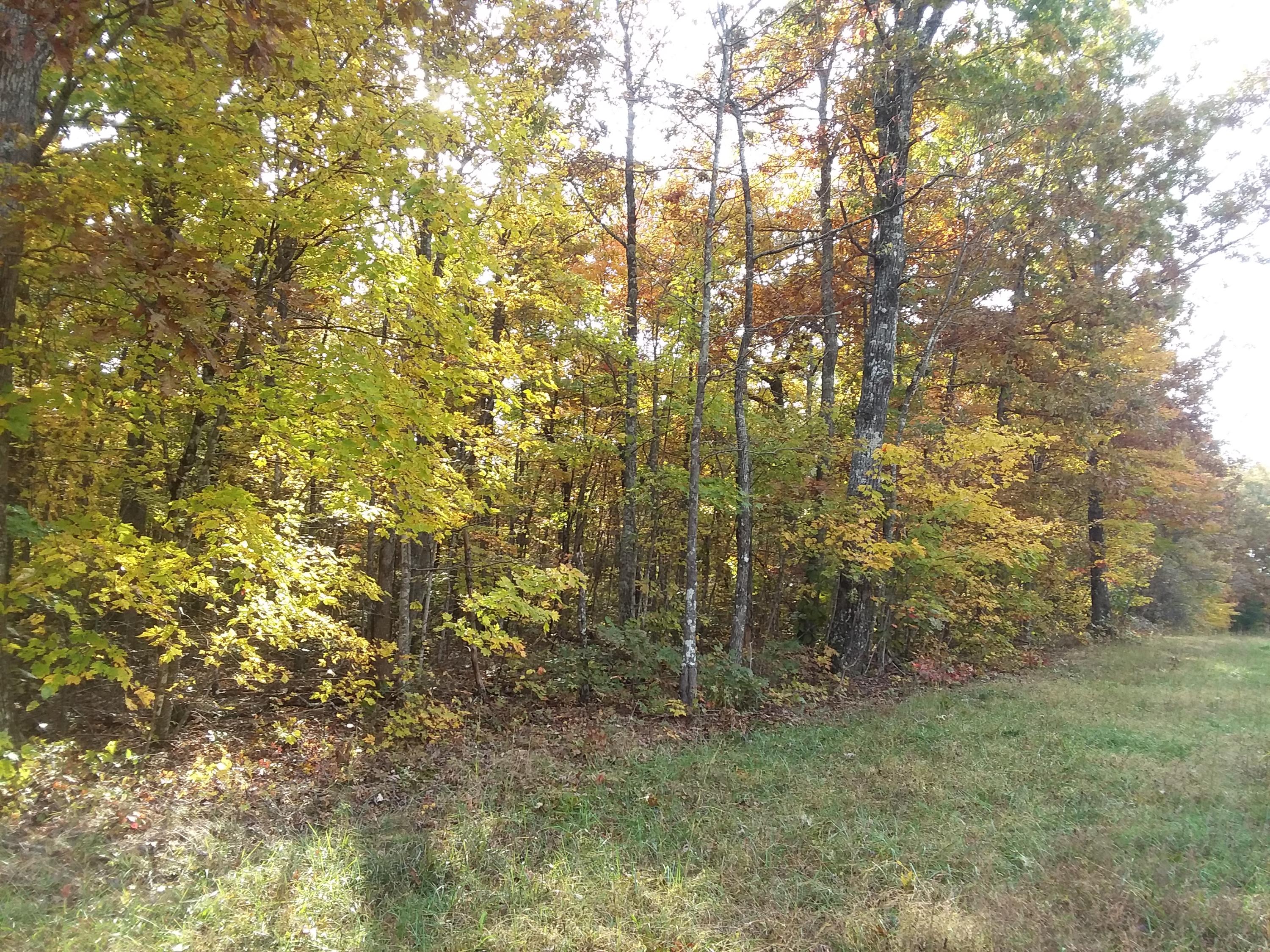 65 Fernhill Road, Unit 65 Pikeville, TN 37367 - Photo 5 of 25 20181030_151526