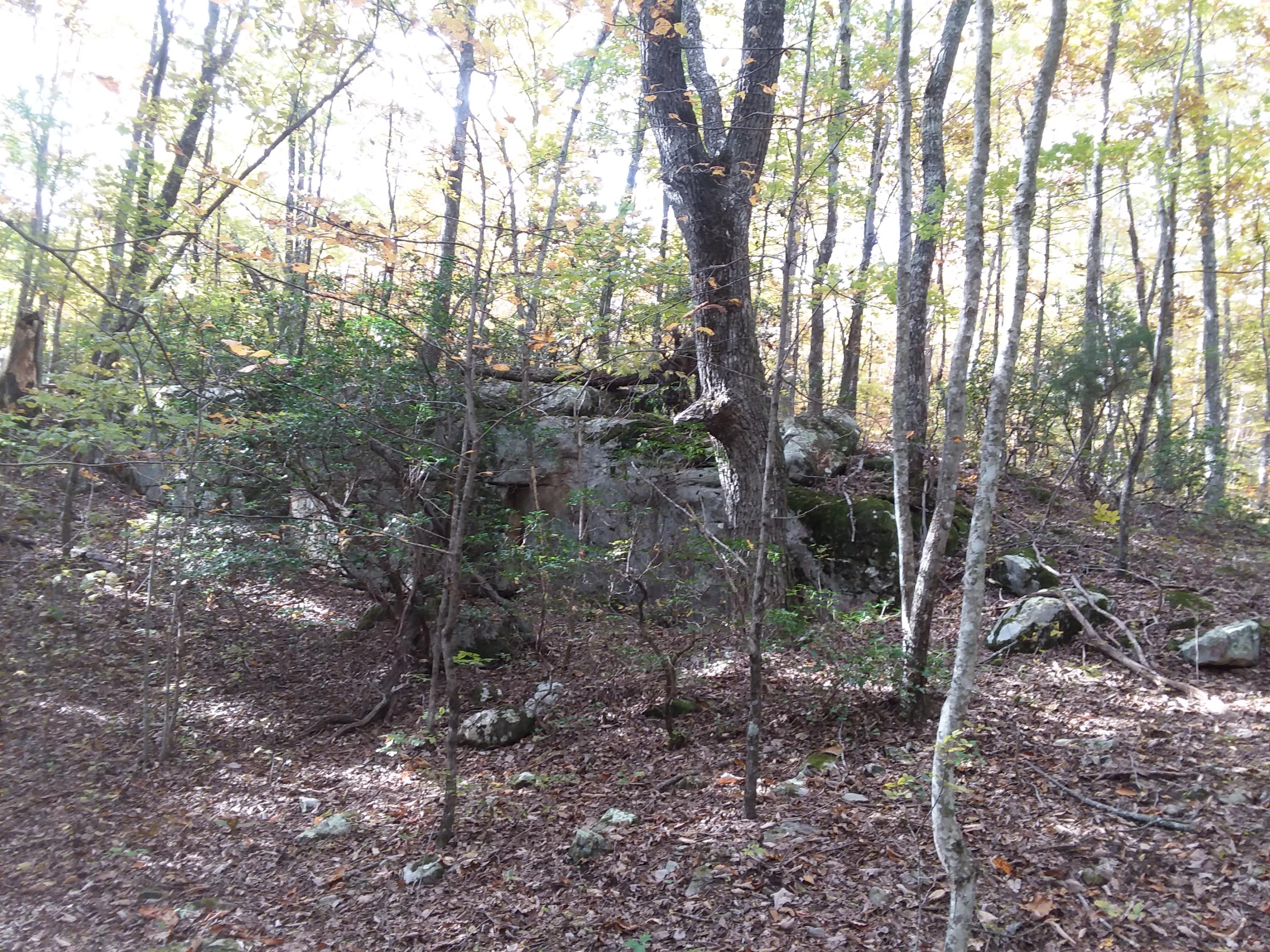 65 Fernhill Road, Unit 65 Pikeville, TN 37367 - Photo 7 of 25 20181030_151927