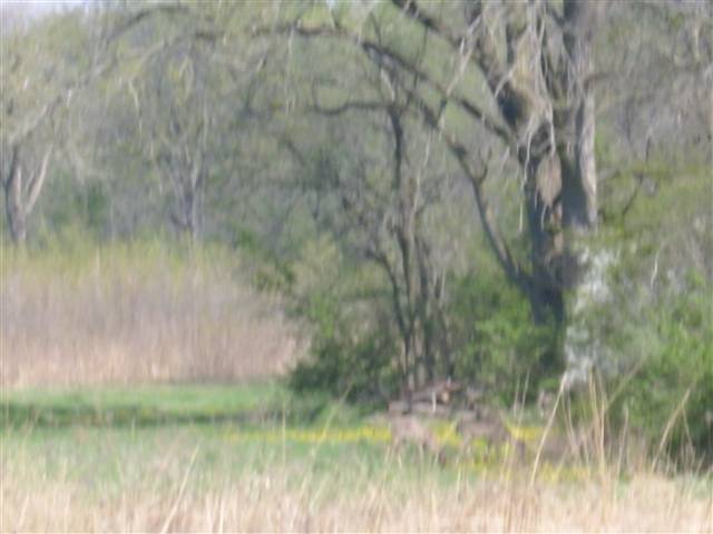 0 West Meehan Road Elmwood, IL 61529 - Photo 4 of 4