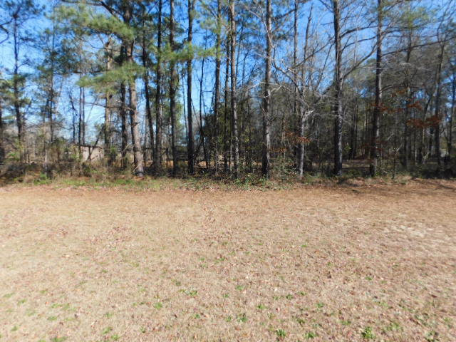 202 Mynatt Road Thomson, GA 30824 - Photo 13 of 14