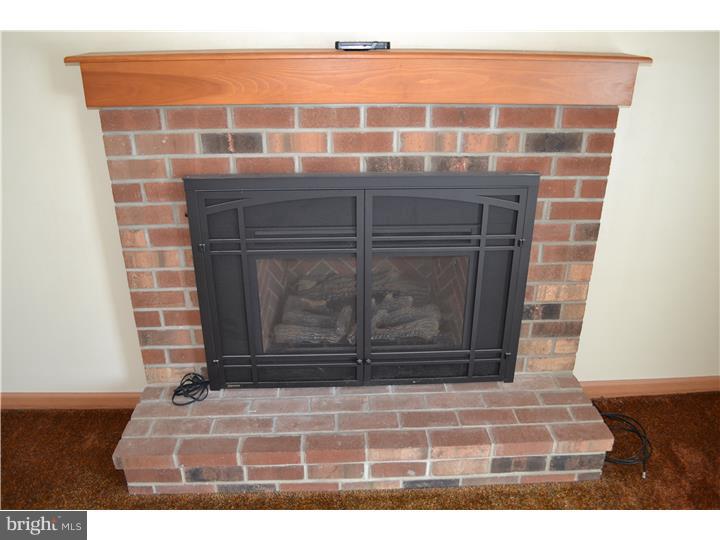 517 Cobbleskill Lane Exton, PA 19341 - Photo 13 of 14 Fireplace