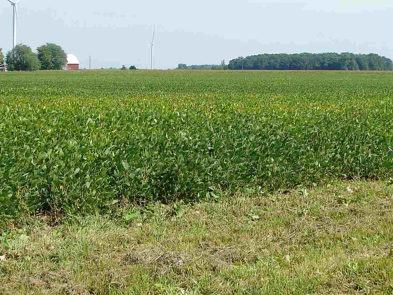 Tbd East Tbd E Washington Road Ithaca, MI 48847 - Photo 1 of 13 1867678.JPG