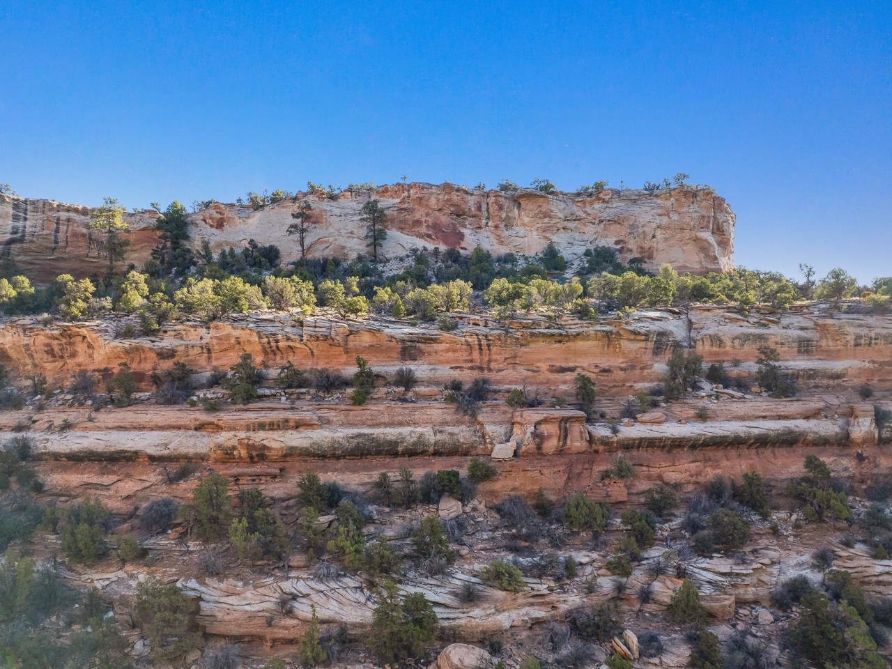 21900 Rough Canyon Road Grand Junction, CO 81507 - Photo 15 of 24 Gallery Image 15