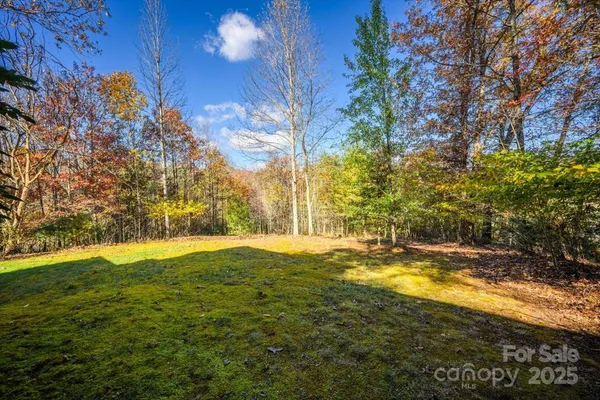 a view of a backyard