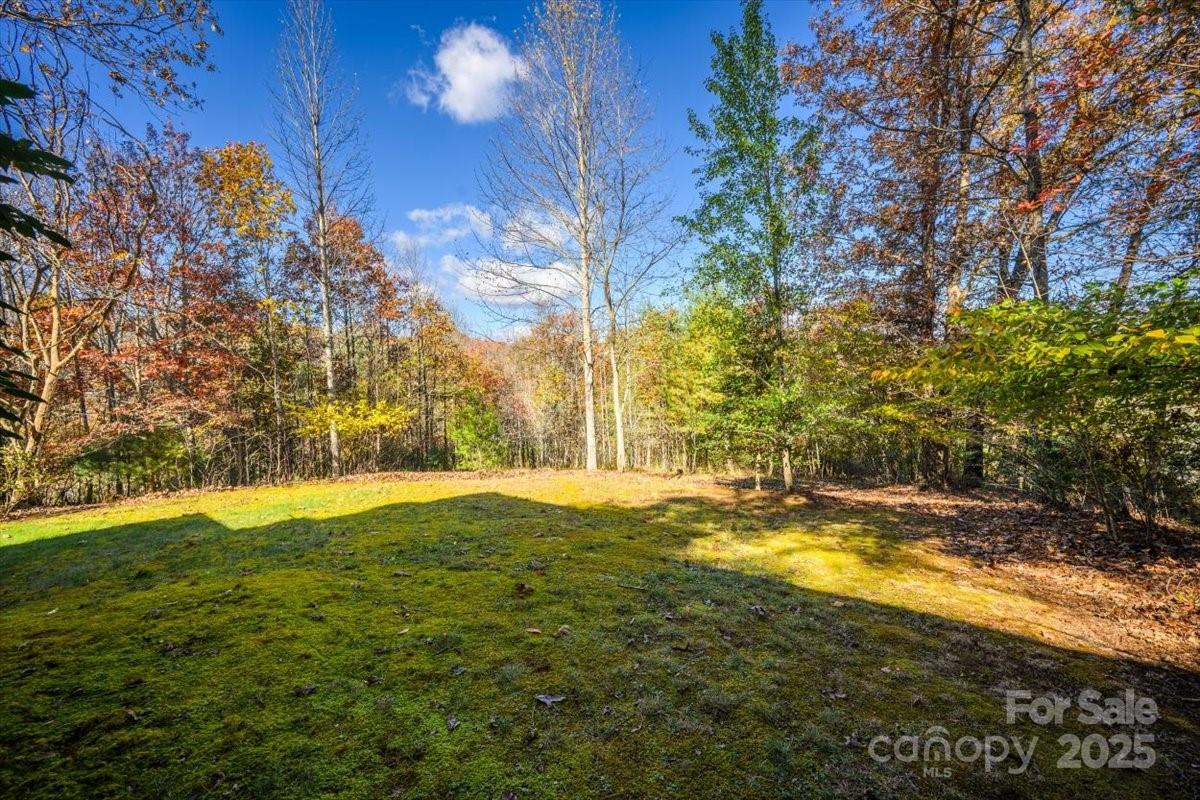 87 Prater Cove Road Franklin, NC 28734 - Photo 6 of 34