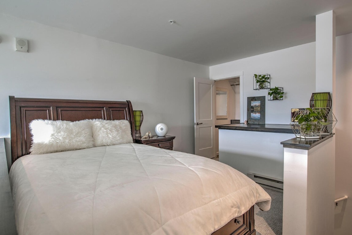 100 Basecamp Way, Unit 217 Frisco, CO 80443 - Photo 23 of 39 a bedroom with a large bed and a potted plant