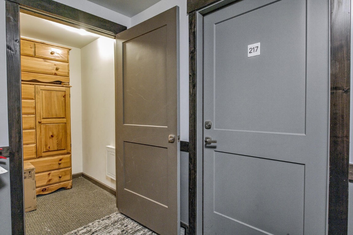 100 Basecamp Way, Unit 217 Frisco, CO 80443 - Photo 28 of 39 a view of walk in closet