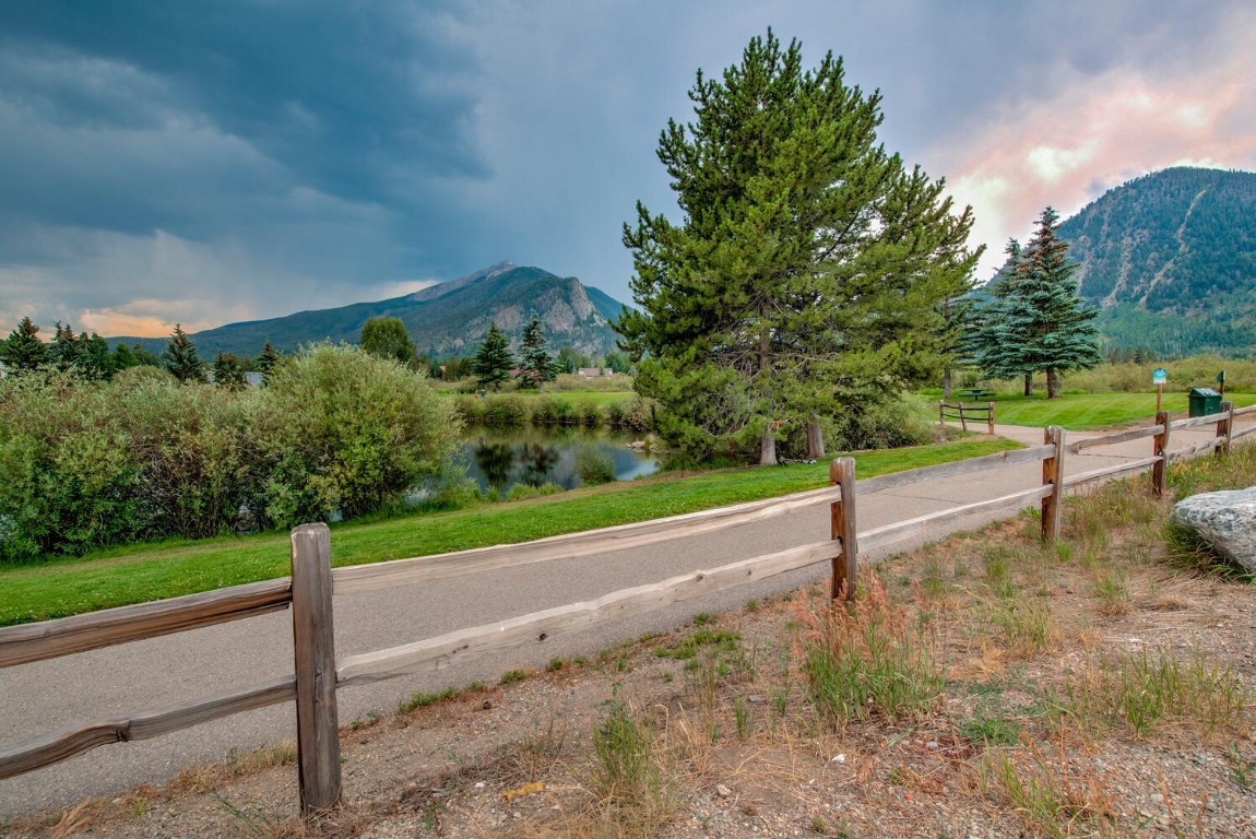 100 Basecamp Way, Unit 217 Frisco, CO 80443 - Photo 34 of 39 a view of a yard with potted plants