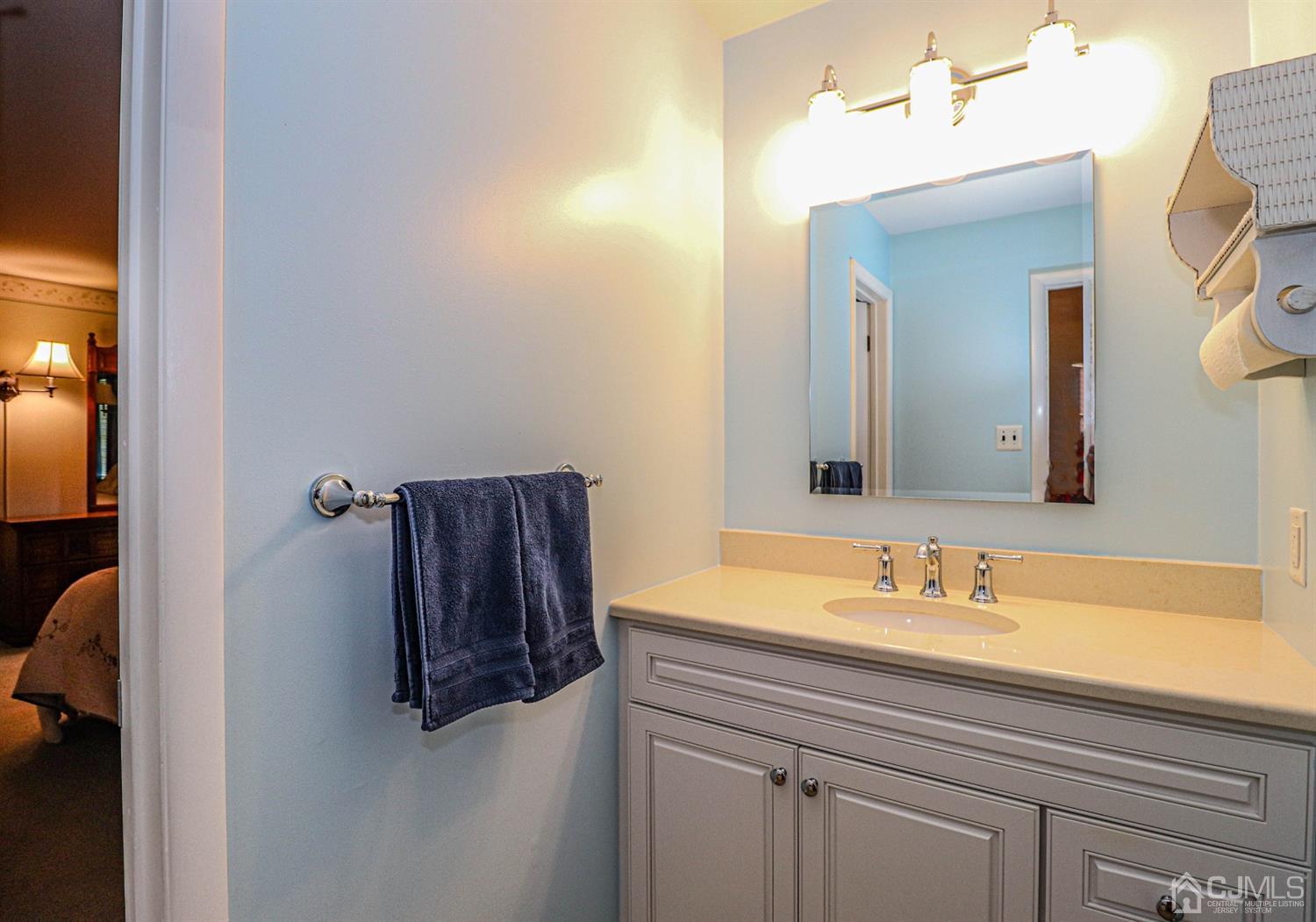 434 Hoffman Station Road Monroe Township, NJ 08831 - Photo 19 of 36 a bathroom with a sink and a mirror