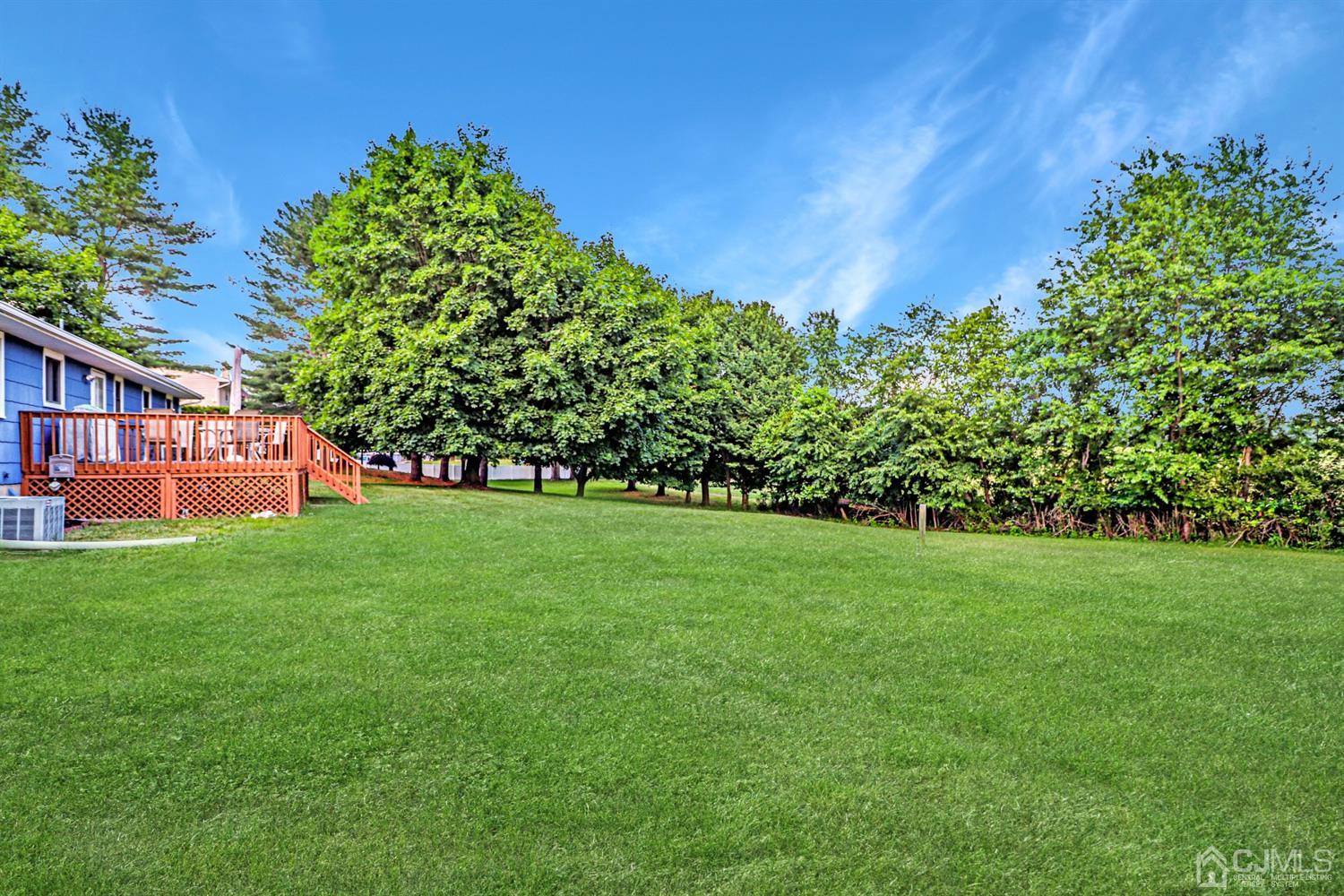 434 Hoffman Station Road Monroe Township, NJ 08831 - Photo 28 of 36 a view of yard with grass and a trees