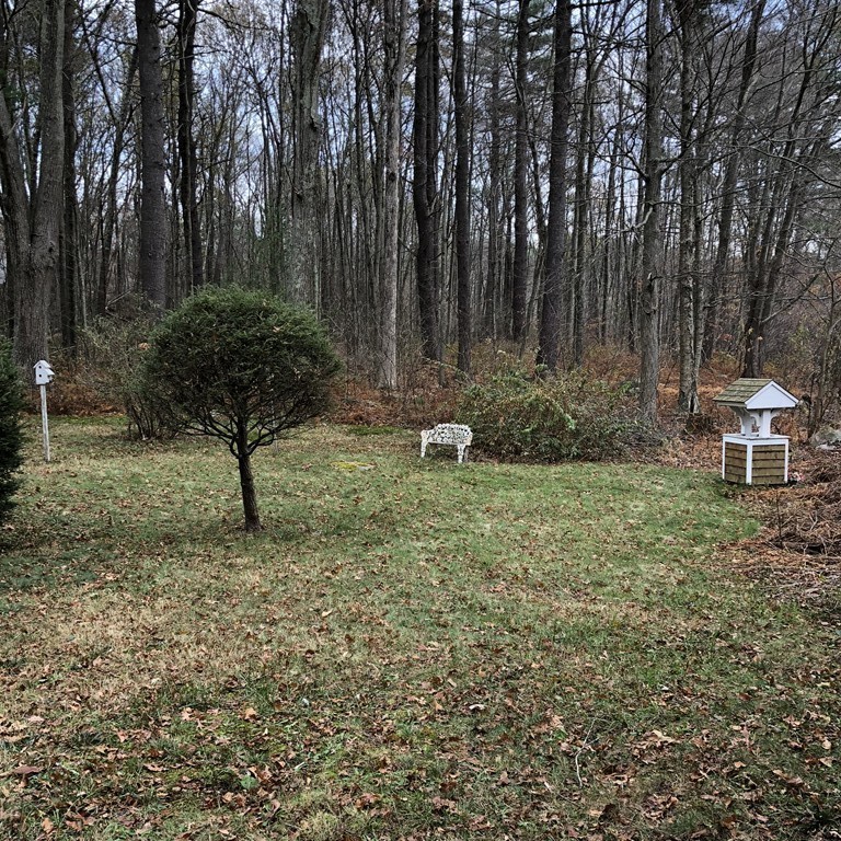 20 Lackey Dam Road Sutton, MA 01590 - Photo 3 of 20 a backyard of a house with lots of green space