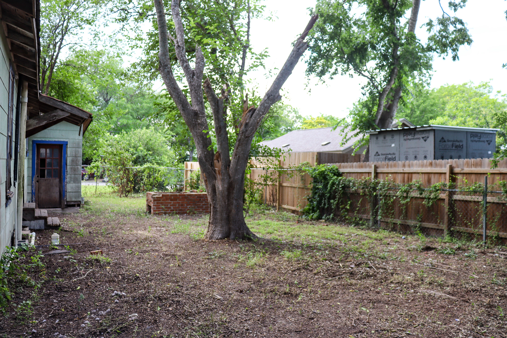 803 3rd Street Lockhart, TX 78644 - Photo 10 of 15 a view of a house with a yard and tree s