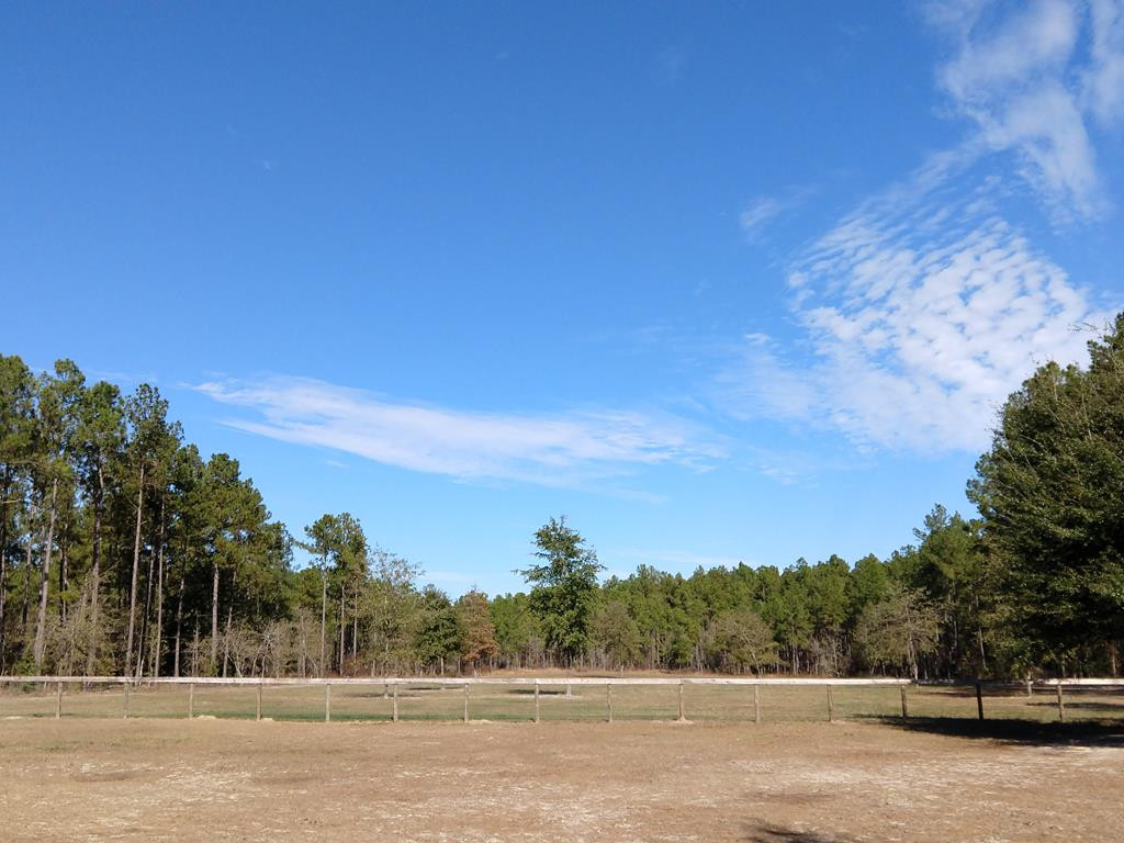 477 Pine Acres Road Windsor, SC 29856 - Photo 33 of 37