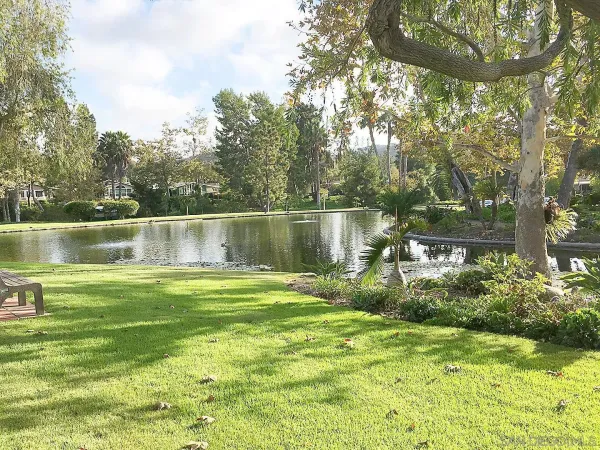 a view of a lake