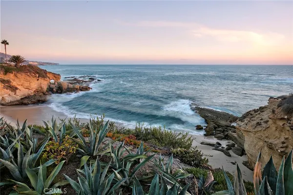 a view of a dry yard with wooden fence