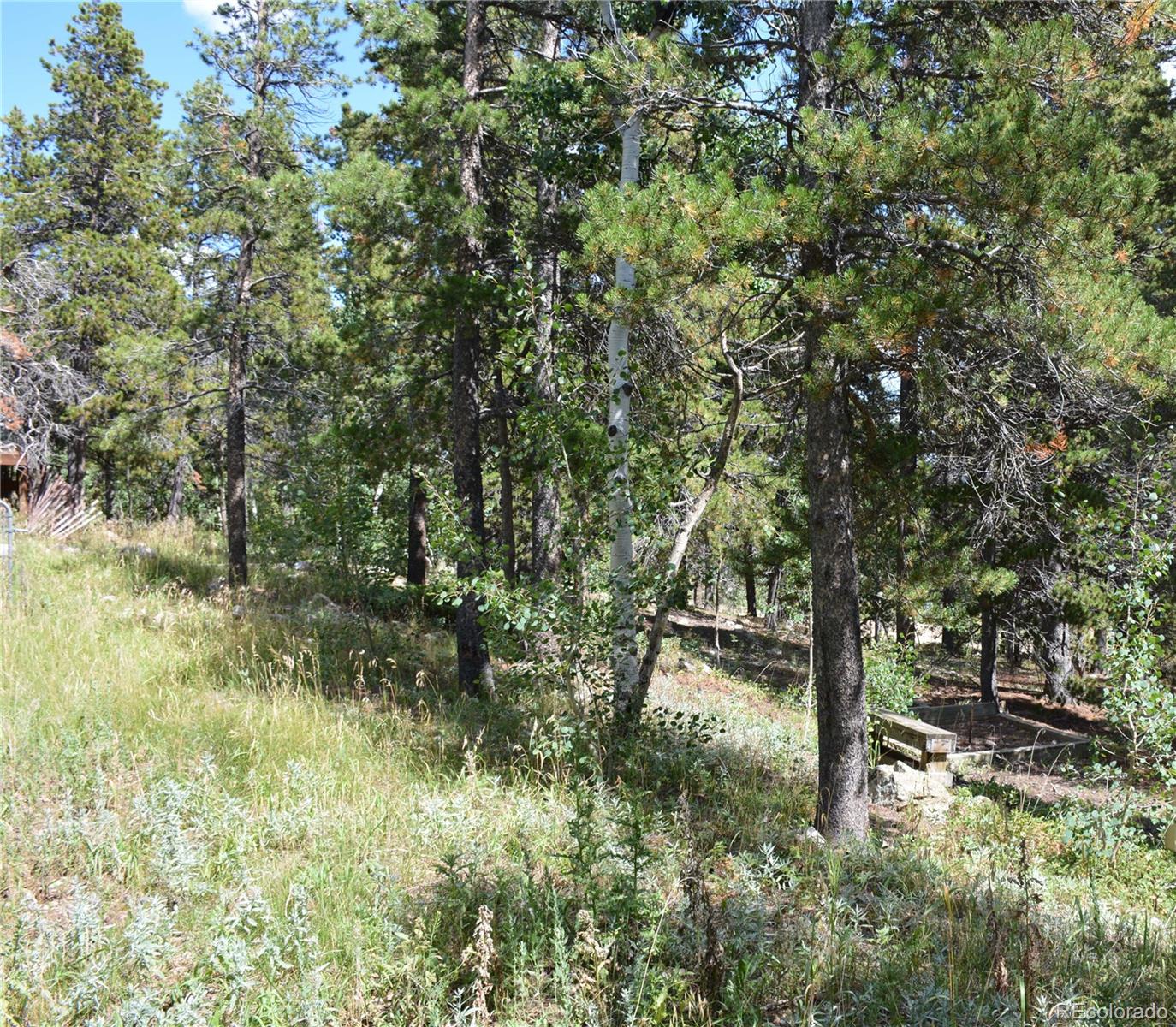 37 Forest Hill Road Black Hawk, CO 80422 - Photo 12 of 19