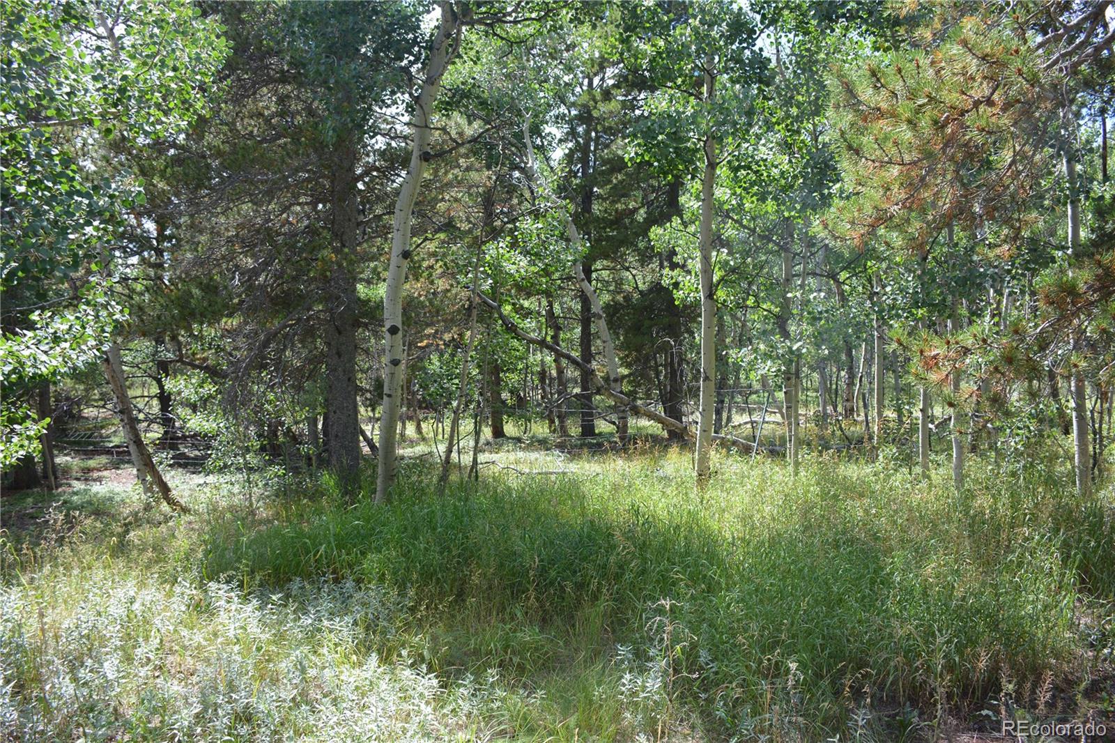 37 Forest Hill Road Black Hawk, CO 80422 - Photo 16 of 19