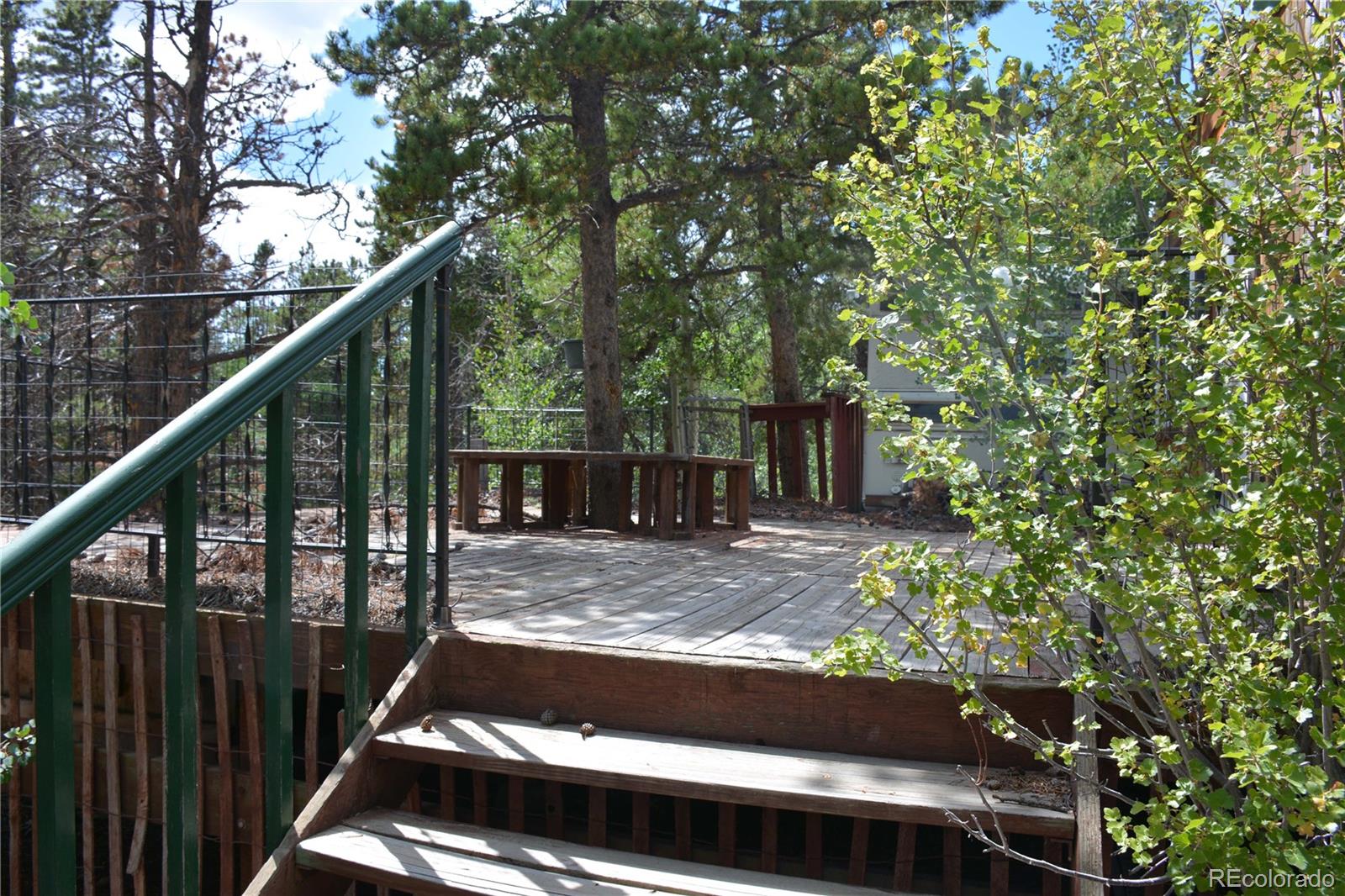 37 Forest Hill Road Black Hawk, CO 80422 - Photo 4 of 19