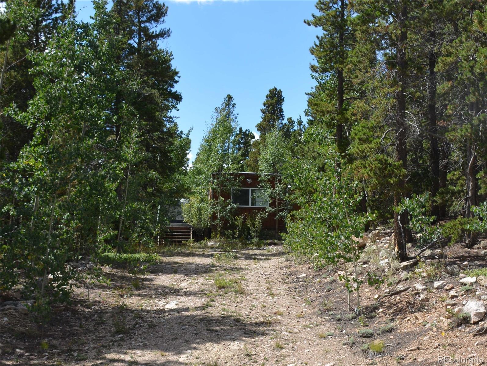 37 Forest Hill Road Black Hawk, CO 80422 - Photo 7 of 19