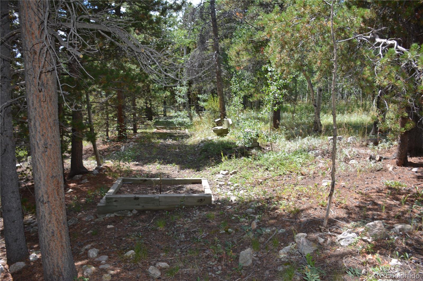 37 Forest Hill Road Black Hawk, CO 80422 - Photo 9 of 19